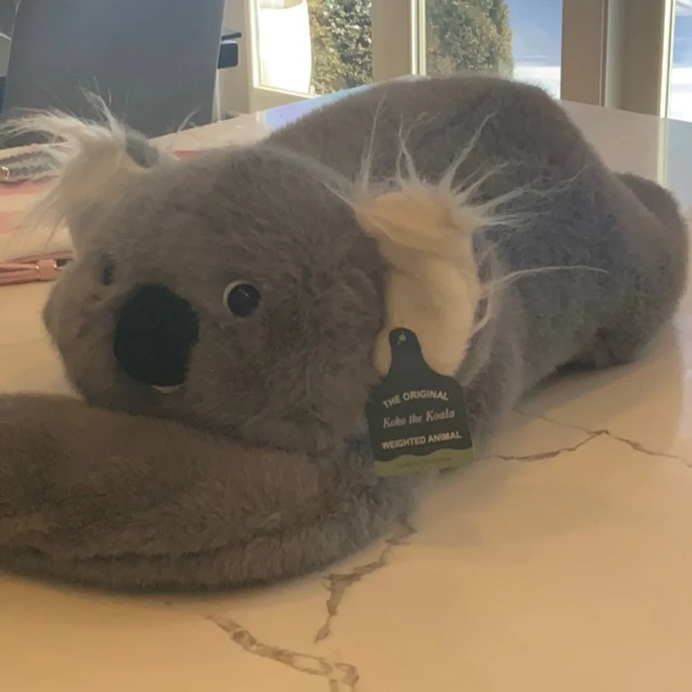 Koko the Koala Weighted Animal-Pulse of Potential - Picture 2 of 2